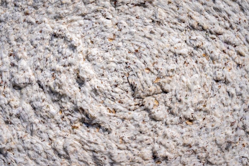 How Cotton Types Affect Cotton Slipper Quality and Wholesale Pricing